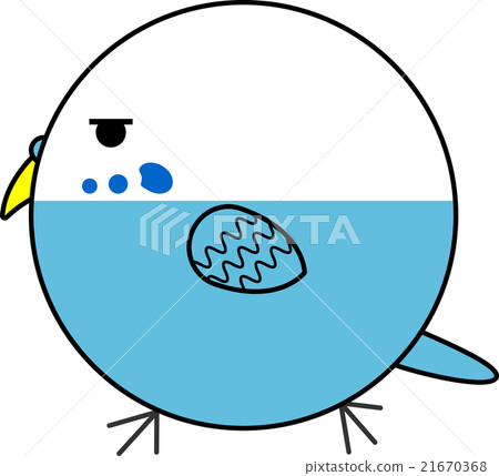 Maruko (Sekisei parakeet) Maruko (Sekisei parakeet) 21670368