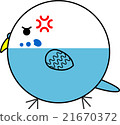 Maruko (Sekisei parakeet) 21670372