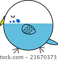 Maruko (Sekisei parakeet) 21670373