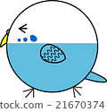 Maruko (Sekisei parakeet) 21670374