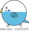 Maruko (Sekisei parakeet) 21670375