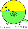 Maruko (Sekisei parakeet) 21670437
