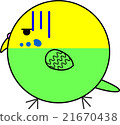 Maruko (Sekisei parakeet) 21670438