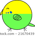Maruko (Sekisei parakeet) 21670439