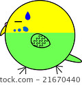 Maruko (Sekisei parakeet) 21670440