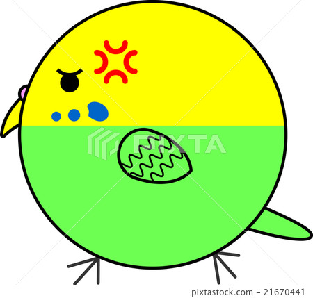 Maruko (Sekisei parakeet) Maruko (Sekisei parakeet) 21670441