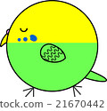 Maruko (Sekisei parakeet) 21670442
