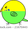 Maruko (Sekisei parakeet) 21670443