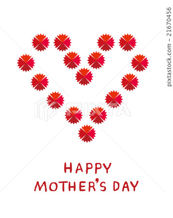 Carnation on Mother's Day 21670456