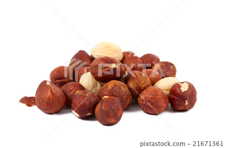 hazelnuts isolated hazelnuts isolated 21671361