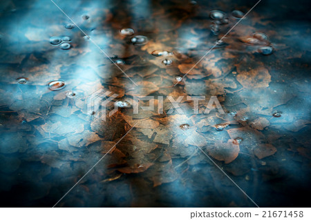 Closeup shot of transparent spring creek Closeup shot of transparent spring creek 21671458