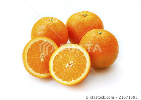 臍橙 21671593