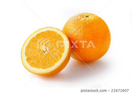 臍橙 21671607