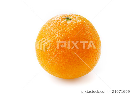 臍橙 21671609
