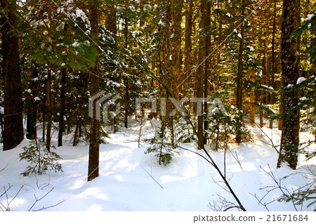 The basin, New Hampshire.. The basin, New Hampshire.. 21671684