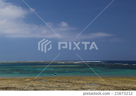 coast coast 21673212
