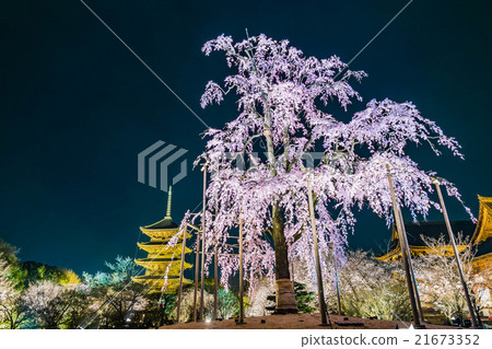 東寺寺夜光冠 21673352