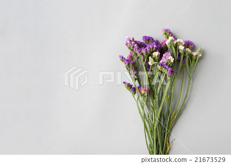 Statice flowers on grey paper background 21673529