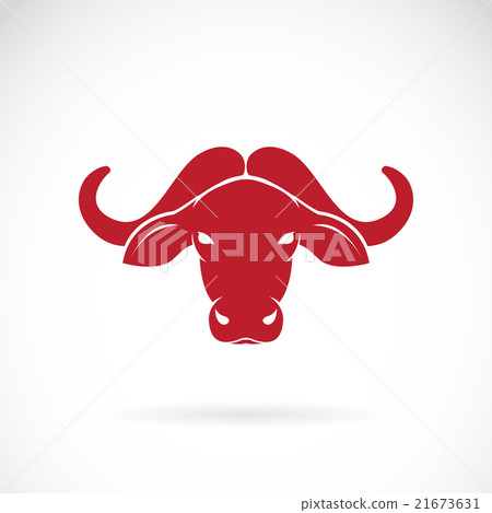 Vector image of  buffalo head on white background 21673631