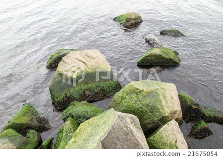 fresh green ocean 21675054