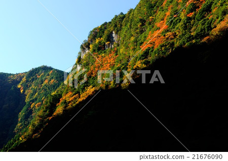 Autumn leaves of Mie Prefecture Kaoru Riki Autumn leaves of Mie Prefecture Kaoru Riki 21676090
