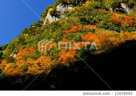Autumn leaves of Mie Prefecture Kaoru Riki Autumn leaves of Mie Prefecture Kaoru Riki 21676091