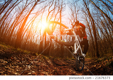 Cyclist Riding the Bike Cyclist Riding the Bike 21676373