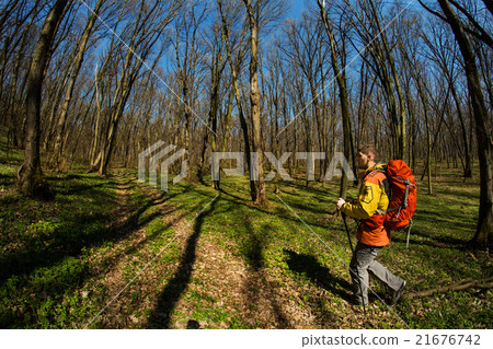 Active healthy man hiking in beautiful forest 21676742