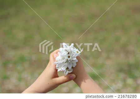 有白花的手 21678280