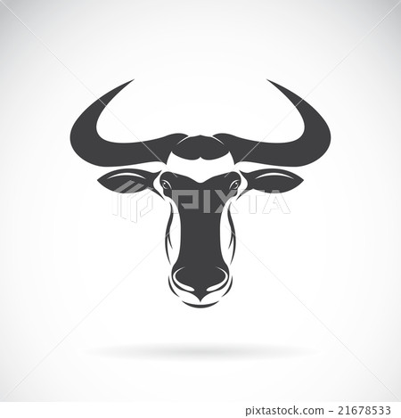 Vector image of an wildebeest head design  21678533