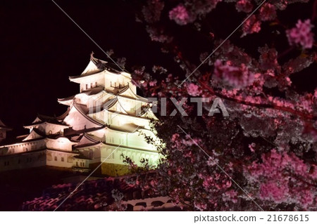 Himeji Castle at night 21678615