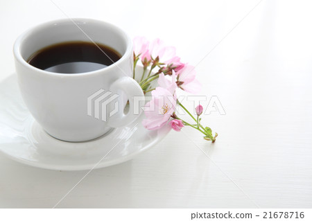 Sakura and coffee 21678716