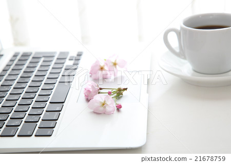櫻花和筆記本電腦和咖啡 21678759