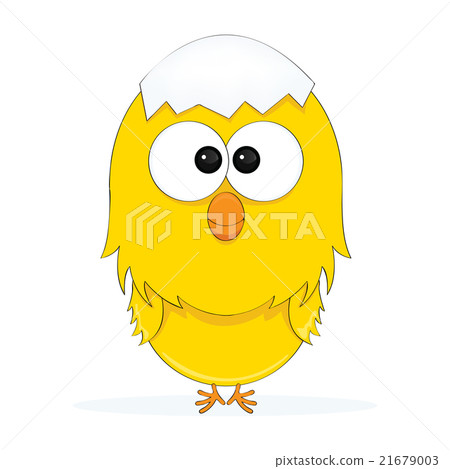 Cartoon of A Chick 21679003