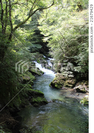 Teiji Gorge Teiji Gorge 21679429