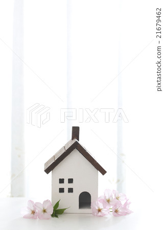 House and cherry blossoms House and cherry blossoms 21679462