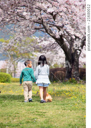 Children and dogs taking a walk in the spring 21680012