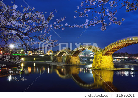Kintai-kyo bridge and cherry blossoms light up 21680201