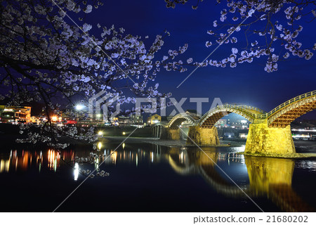 Kintai-kyo橋和櫻花點亮 21680202