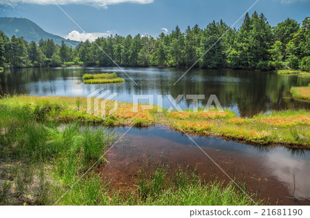 Shiga Takahara Shibuike 21681190