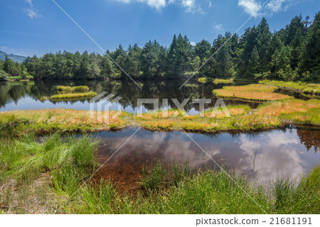 Shiga Takahara Shibuike 21681191