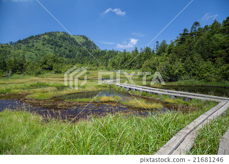 Shiga Kogen Hakuikeike Mire 21681246