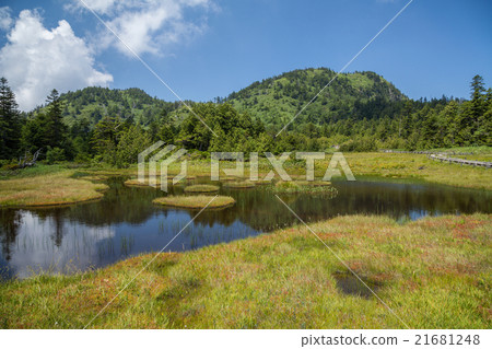 Shiga Kogen Hakuikeike Mire Shiga Kogen Hakuikeike Mire 21681248