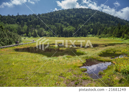 Shiga Kogen Hakuikeike Mire Shiga Kogen Hakuikeike Mire 21681249