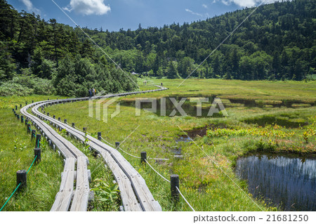 Shiga Kogen Hakuikeike Mire 21681250