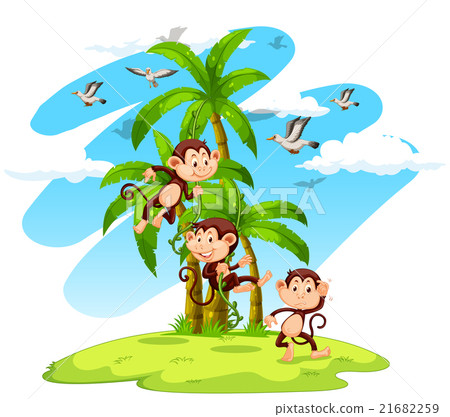 Three monkeys on the island 21682259