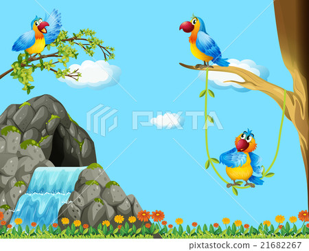 Three parrots living by the cave Three parrots living by the cave 21682267