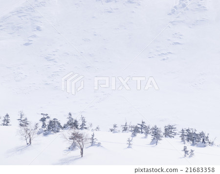 Snowy slope and sparse trees 21683358
