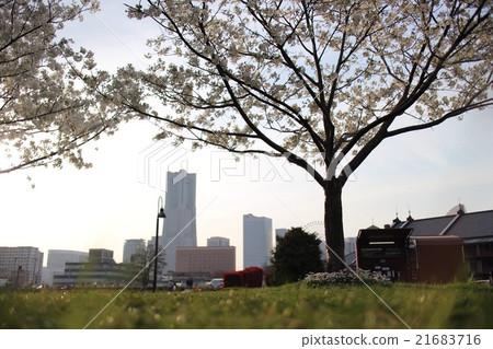 Minato Mirai Minato Mirai 21683716