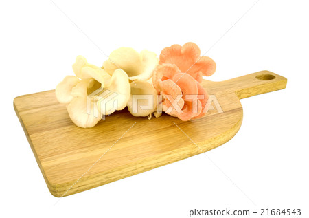 Organic pink oyster mushroom. 21684543